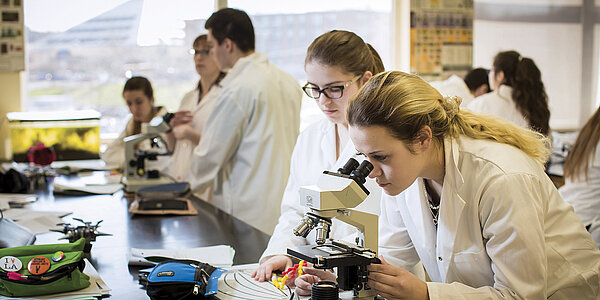 Une étudiante regarde dans un microscope.